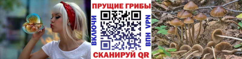 Галлюциногенные грибы прущие грибы  Озёры 